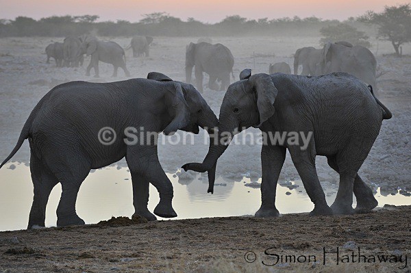  - Namibia