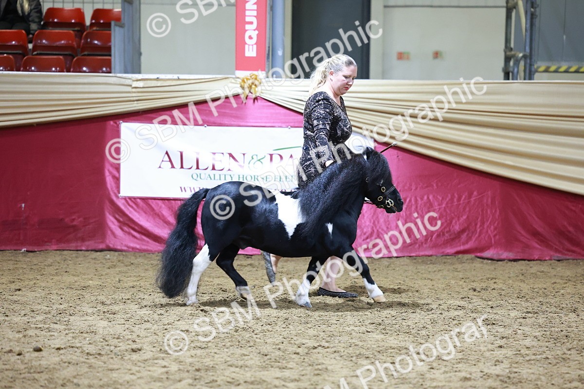 SBM_20814 - Class L - Coloured Champ