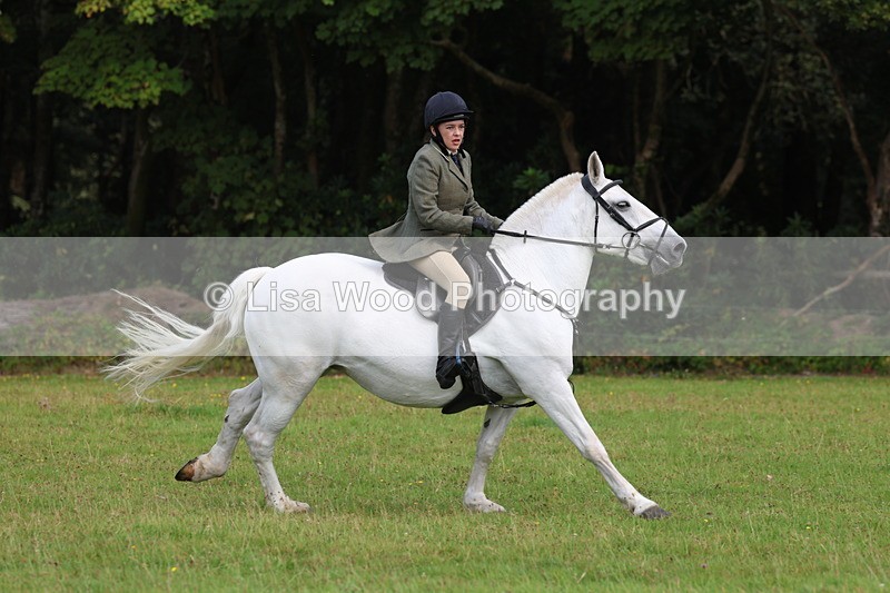 3E7A6003 - Class 28: 75cm Working Hunter