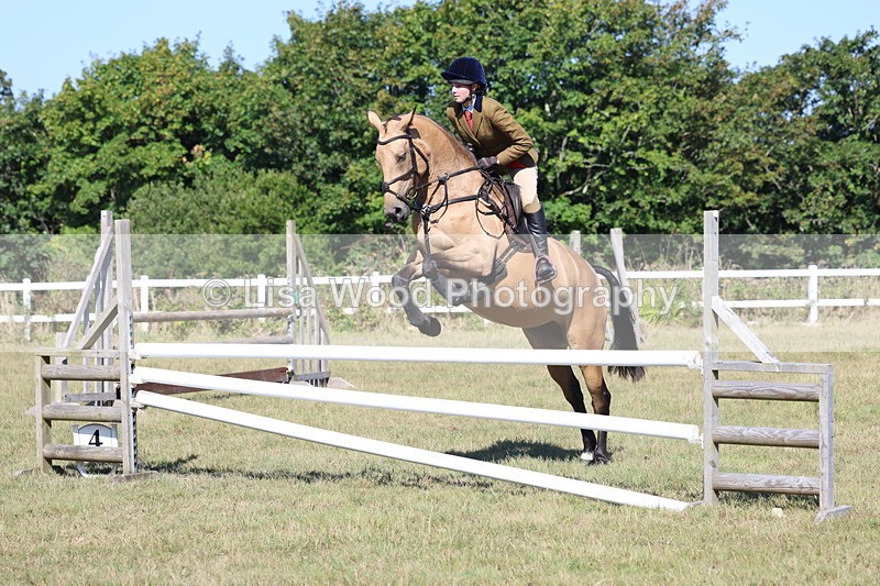 3E7A5783 - Class 5: Working Hunter 90cm