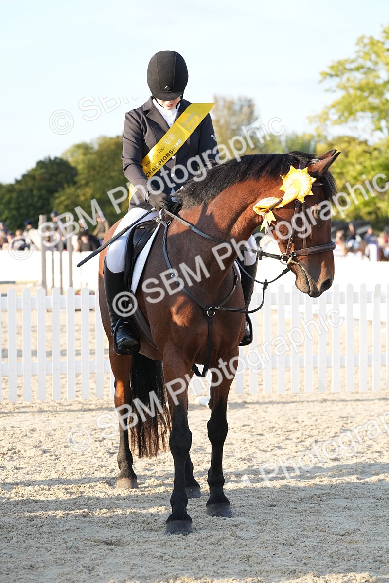 SBM_54301 - J23 - Junior Horse 70cm Championship