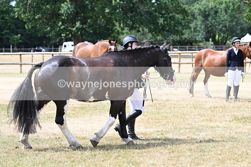 WJ7_1945 - Class 4a Prettiest Mare 14.2hh and over hand