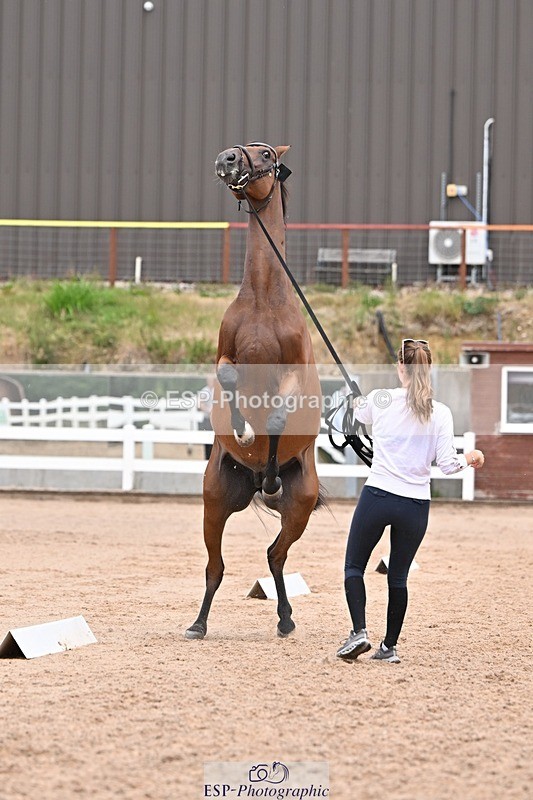 250716-141834-01009 - Trot Up 1.30 to 2.30