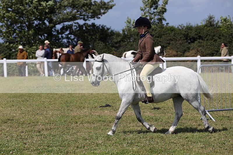 1X9A5433 - Class 37: NPS M&M First Ridden