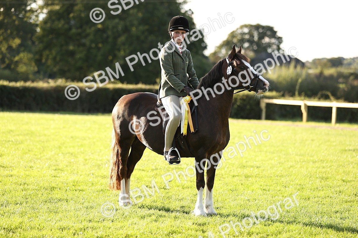 SBM_29650 - S7 - Novice & Newcomers Ridden Pony