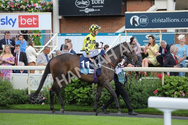 yr18082022r7-16 - Race 7 5.20pm British Stallion Studs EBF Fillies' Stakes
