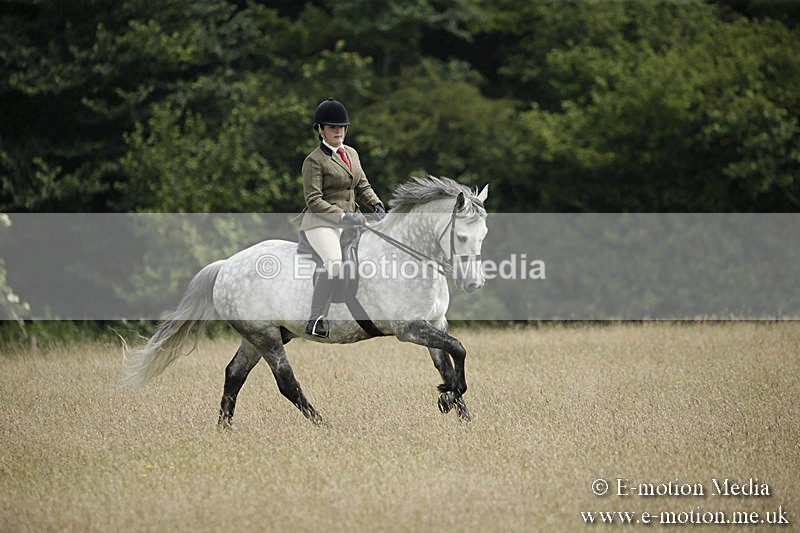B230619-0467 - Bourne Valley Riding Club Summer Show 23/06/19