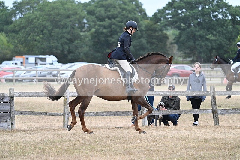 WJ7_0887 - Class 7 Riding Club Show Horse