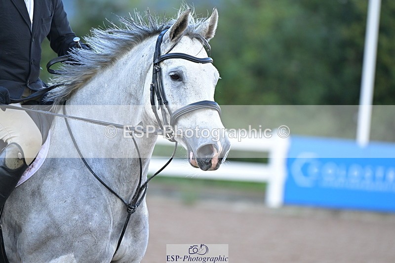 240912A-102536-01011 - Cls 8 Snr British Novice and 90cm Open