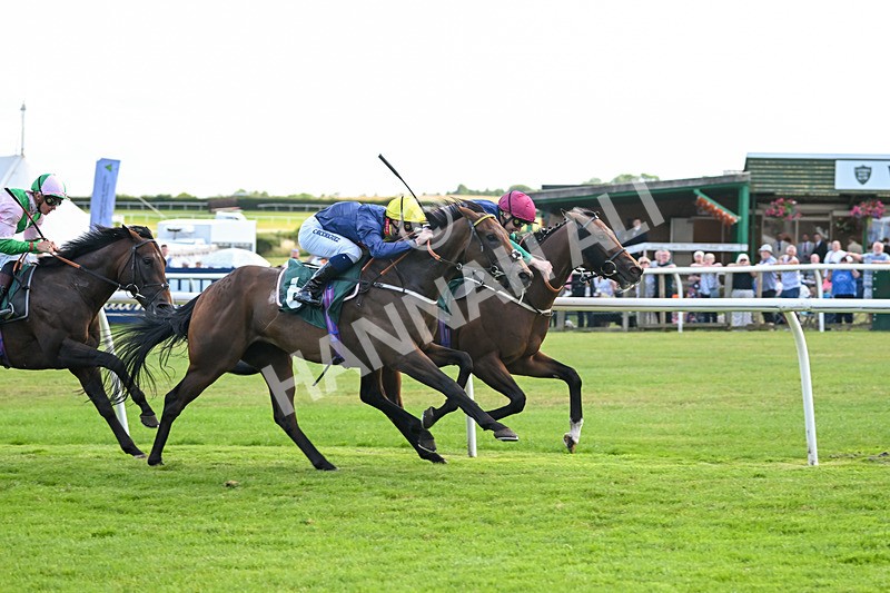 160725-Race 5-Chuti Manika-9307 - Race 5