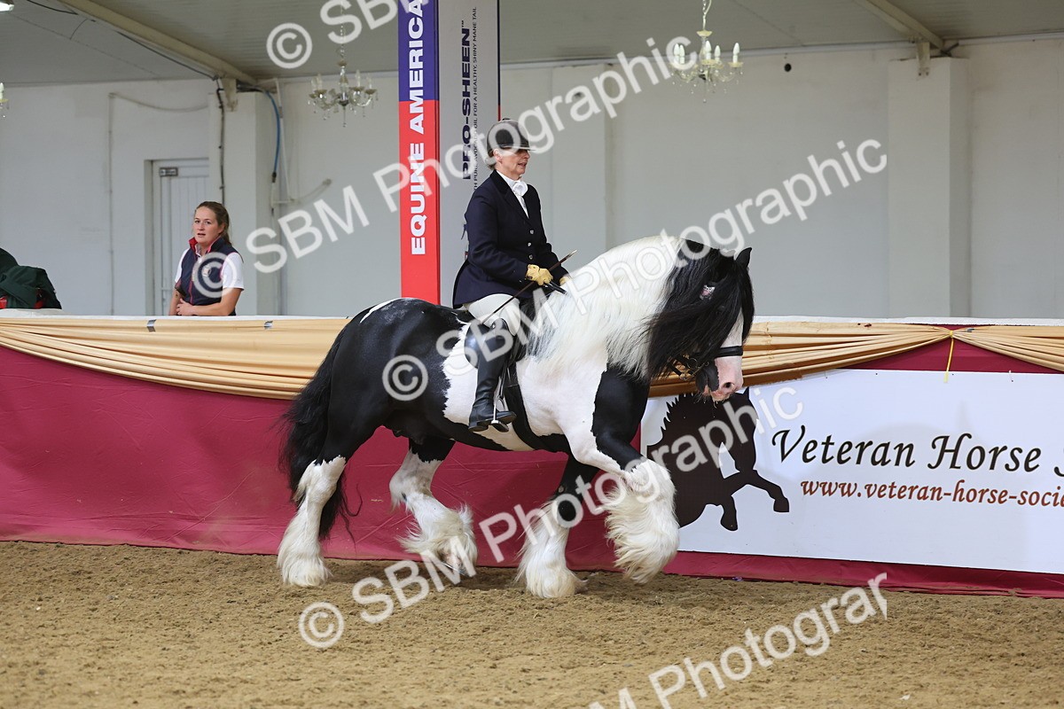 SBM_24987 - Grand Supreme Final Overall Champion