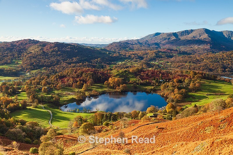 Loughrigg Tarn from Loughrigg Fell in autumn