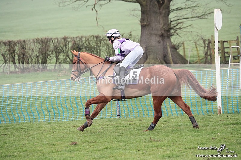 PR PtP 080326 481 - Guilsborough Pony Races 08/03/26