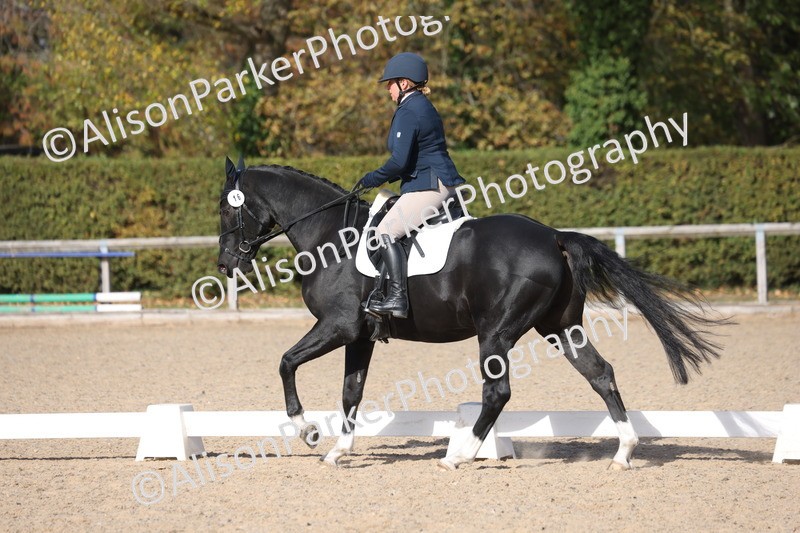 20261010-0615 - Class 5 - Novice 1