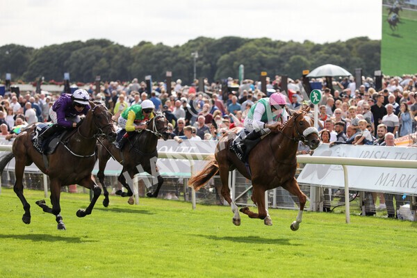 yr17082022r2-24 - Race 2 2.25pm Tattersalls Acomb Stakes