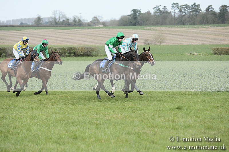 PtP 230319 176 - VWH Hunt Siddington Point-to-Point Racing 23/03/19