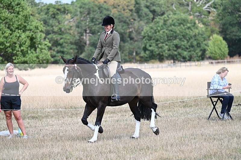 WJ7_6071 - Class 13 Ridden Veterans