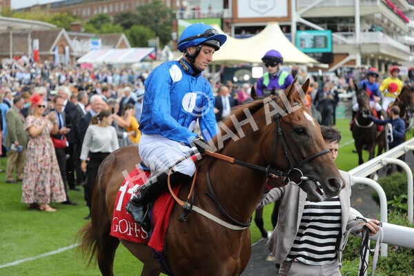 yr18082022r2-16 - Race 2 2.25pm Goffs UK Harry Beeby Premier Yearling Stakes