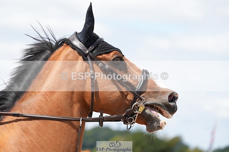 250802-120105-09750 - Cls 21 85cm Amateur Championship Qualifier