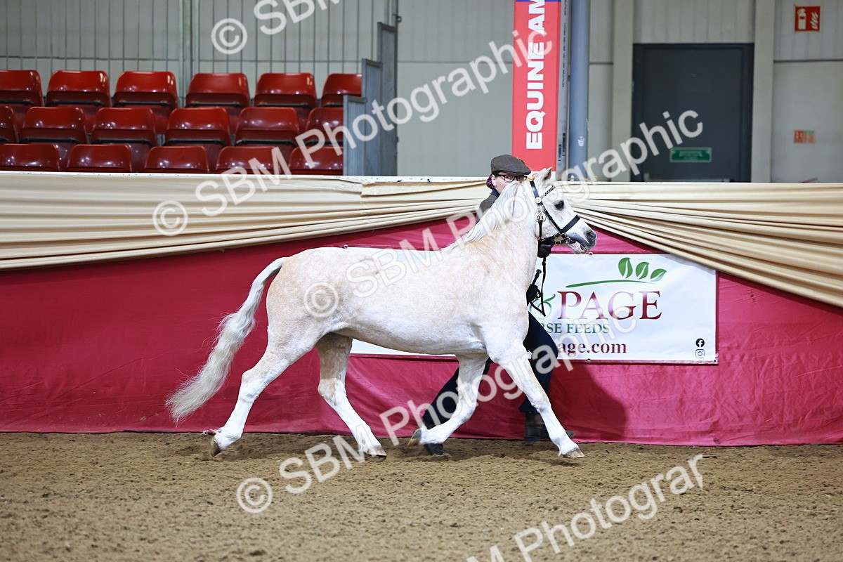 SBM_21631 - Class 901 - Supreme Final - IH  Diamond