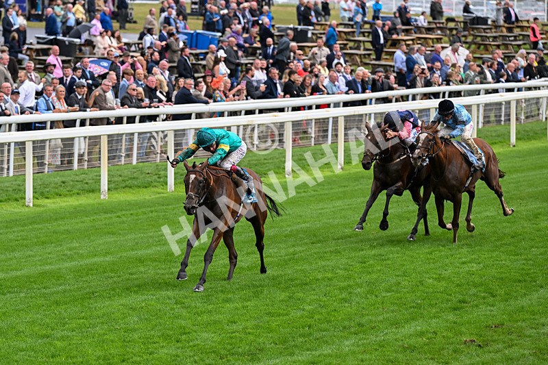 200826-Race 5-Prizeland-0644 - Race 5 16.10pm British EBF & Sir Henry Cecil Galtres Stakes