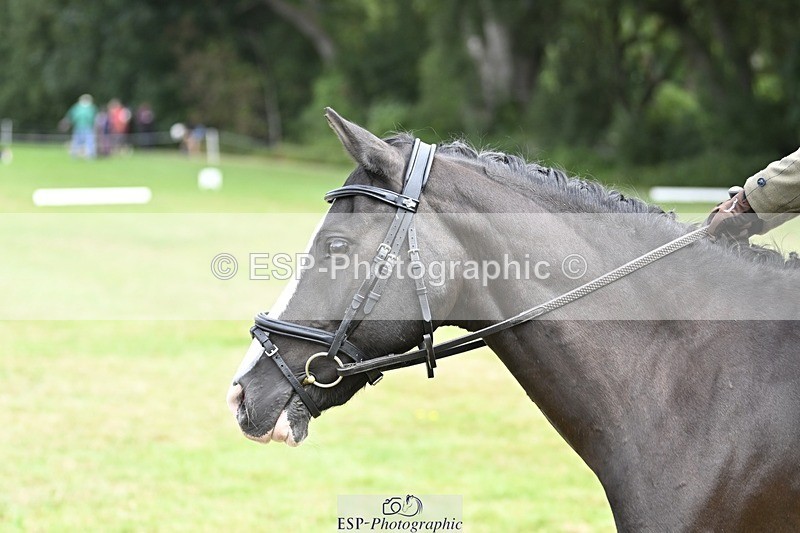 250821A-101411-14207 - DR 10.00 to 11.00