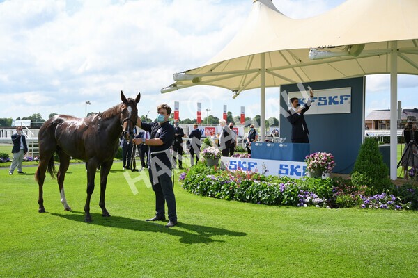 yr11062021r3-54 - Race 3 2.55pm SKF Rous Selling Stakes