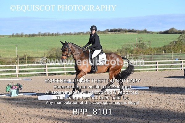 BPP_8101 - LONG ARENA