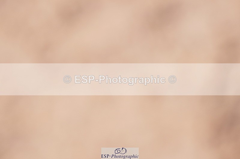 240728A-094602-08008 - Cls 25A Snr 1.05m