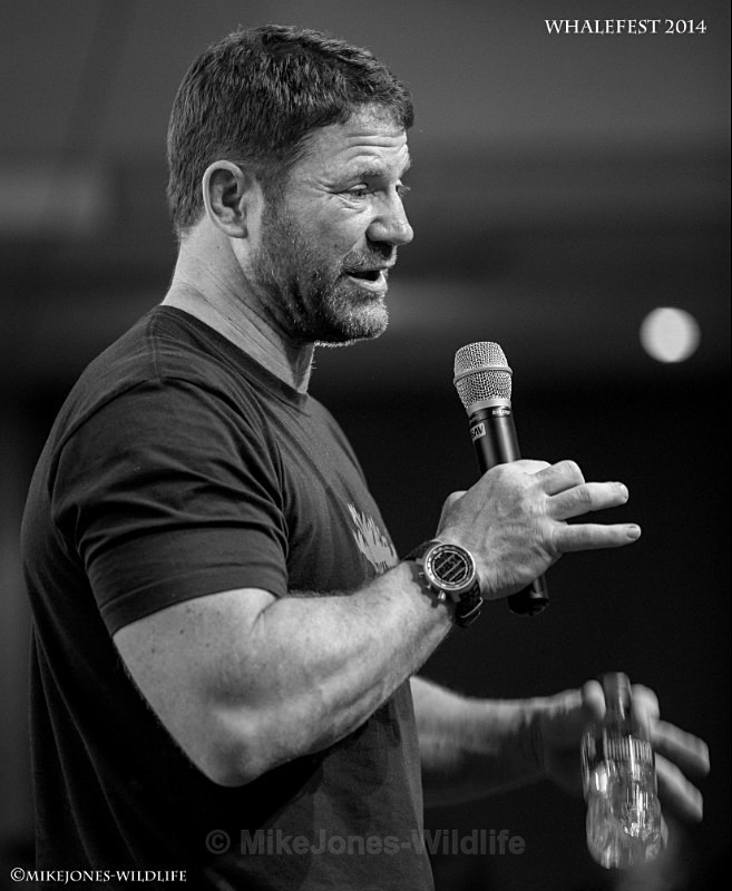 Steve Backshall at Whalefest 2014 - STEVE BACKSHALL images from Whalest 2014 in Brighton