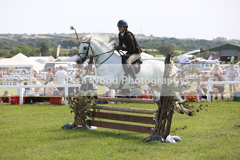 JPP_3714 - Class 23: Working Hunter 80cm