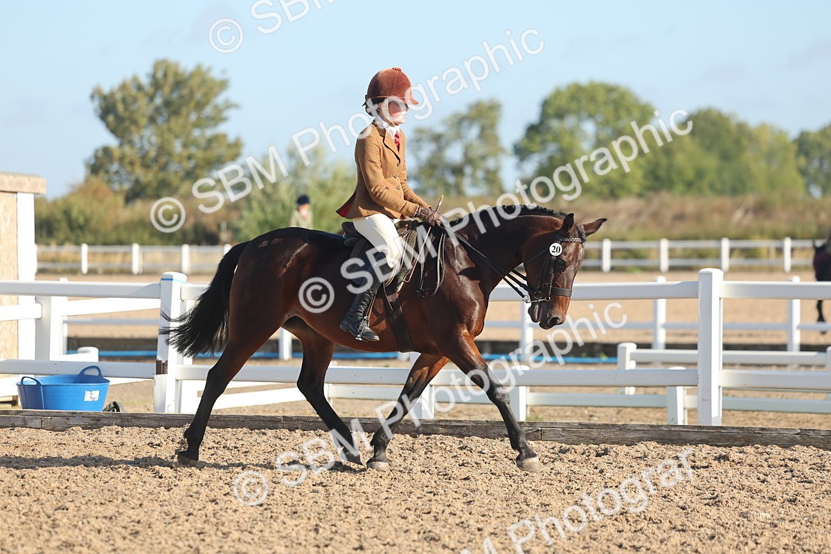 SBM_22115 - Class 801 - Ridden Veterans