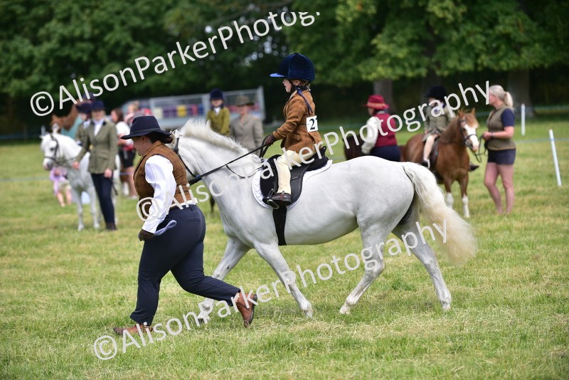 20260614-1213 - Class 11a - Lead Rein Pony (Unplaited)