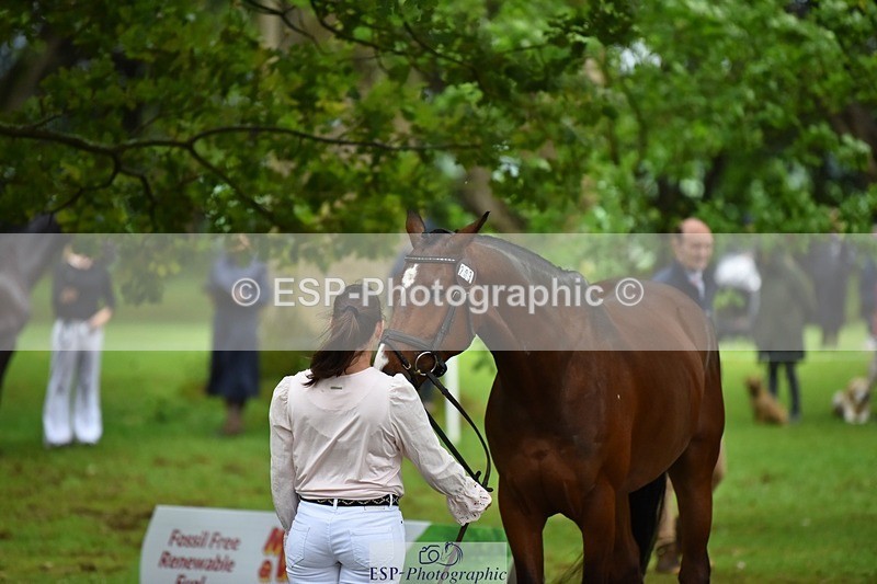 240522-163022-00961 - 203-OAKPORT_WEST_COAST_EXPRESS-Emma_Wilkes