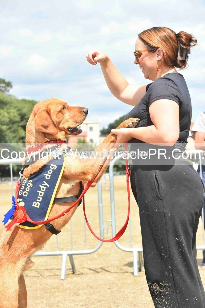 SH4_0270 - Dog show.