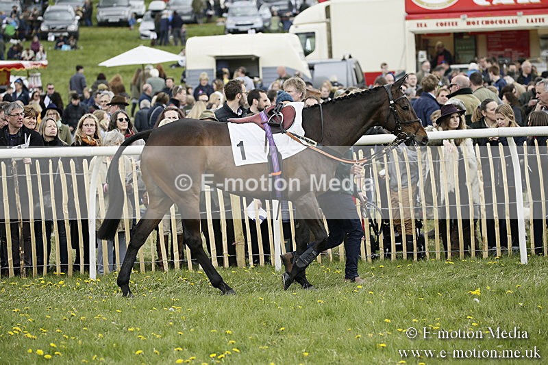 PtP 170417 117 - Old Berks Point-to-Point Lockinge 17/04/17