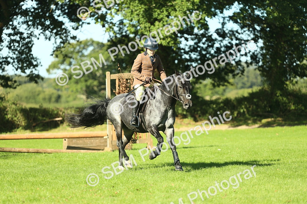 SBM_36463 - S29 - Novice & Newcomers Working Hunter Pony