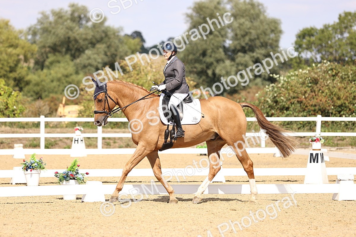 SBM_015077 - Class 6 - Elementary 5