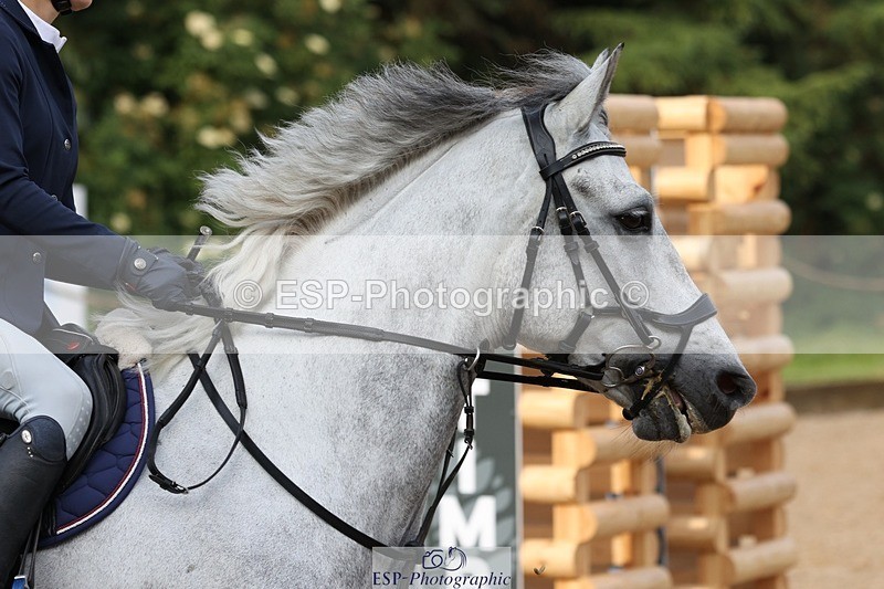 230617-082108-00175 - Cls 08a Pony 1.05