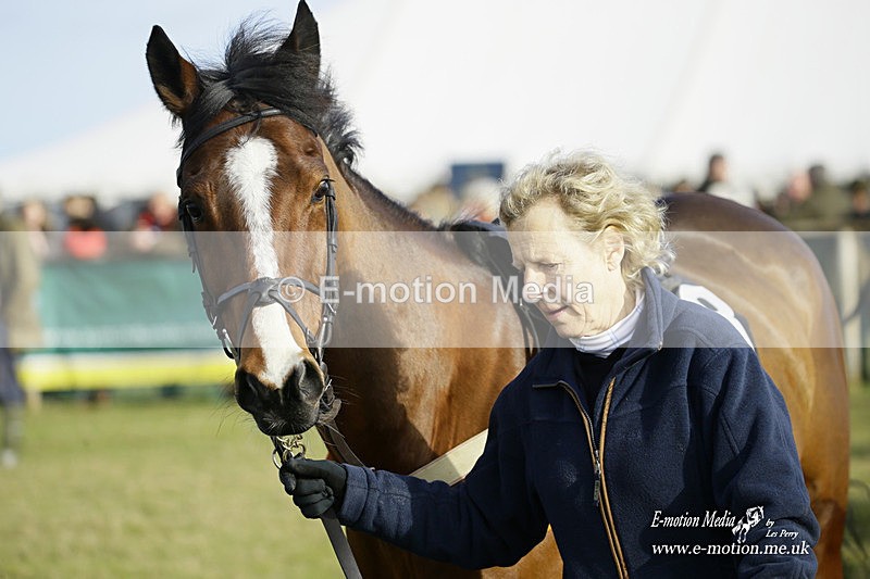 PtP 300122 301 - South Dorset Hunt - Point-to-Point Races 30/01/2022