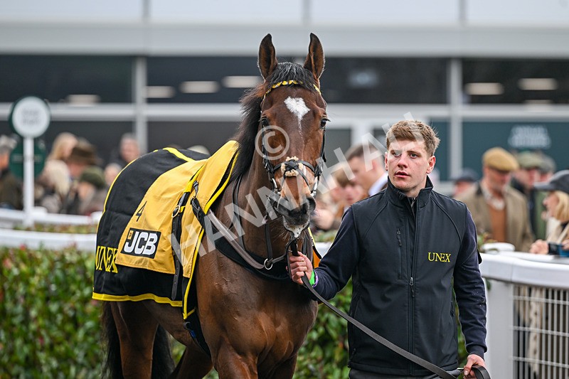 151125-Race 1-Hallelujah -1767 - Race 1