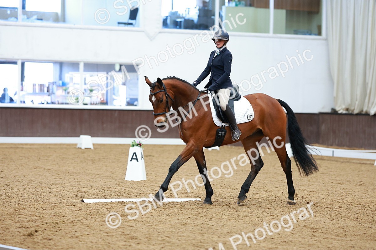 SBM_003275 - Class 11 - Novice 2