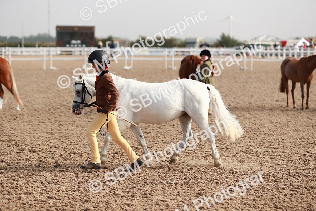 SBM_09909 - Class 203 Young Handler, 10 years and under