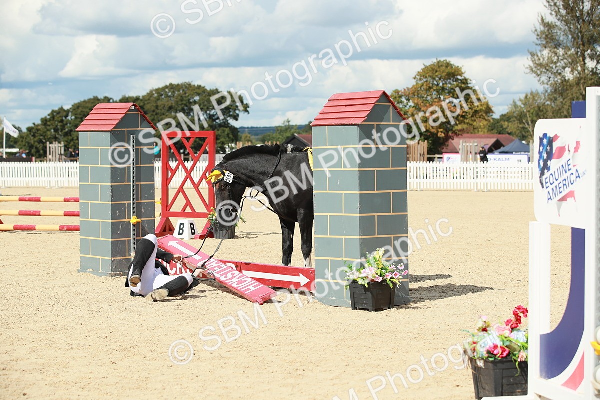 SBM_06226 - J29 Senior 65cm Championship
