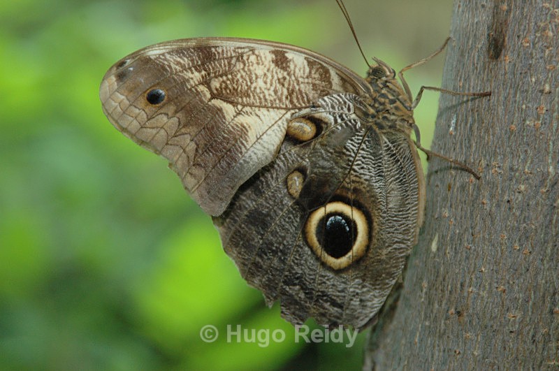  - Some Selected Images