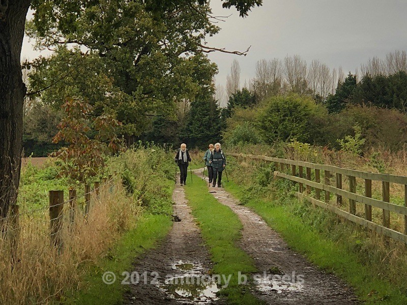 O20a  On the way from Gate Helmsley - SAINT PAULINUS PILGRIMAGE TRAIL