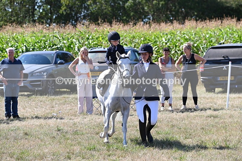 WJ6_8020 - Class 36 Lead Rein