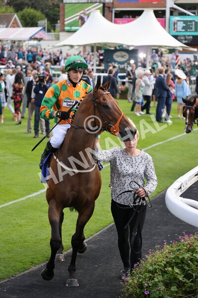 yr18082021r1-32 - Race 1 1.50pm Sky Bet & Symphony Group Stakes