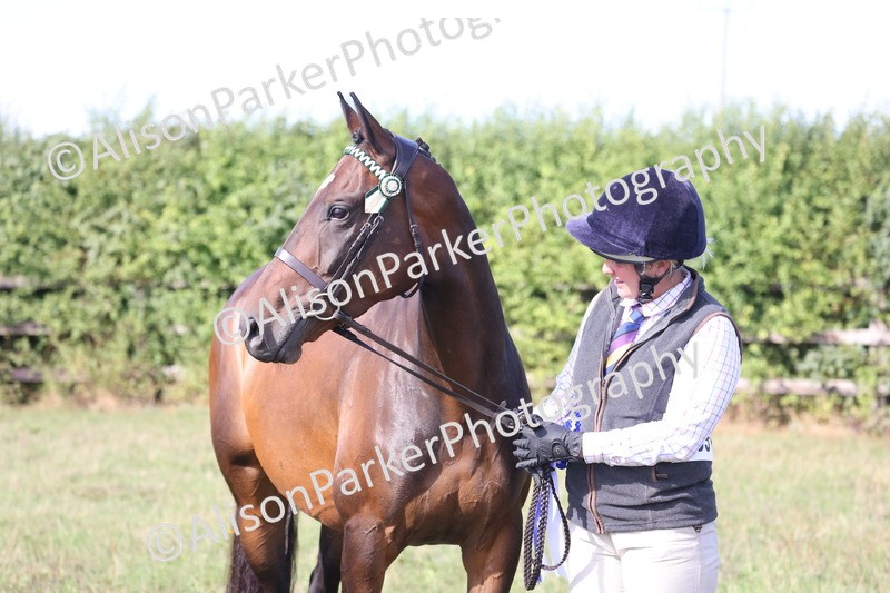 20260906-0724 - Class 22 - Ex Racehorse