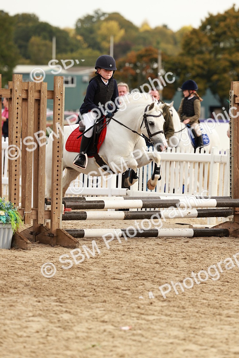 SBM_55770 - J11 - Junior Pony 50cm Championship